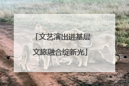 文艺演出进基层 文旅融合绽新光